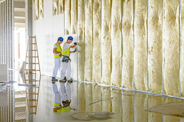 Best Insulation Maintenance and Repair in Wernersville, PA